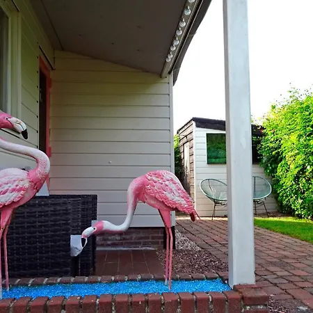 Delightful Tropical Retreat Close To The Sea 와멘후젠